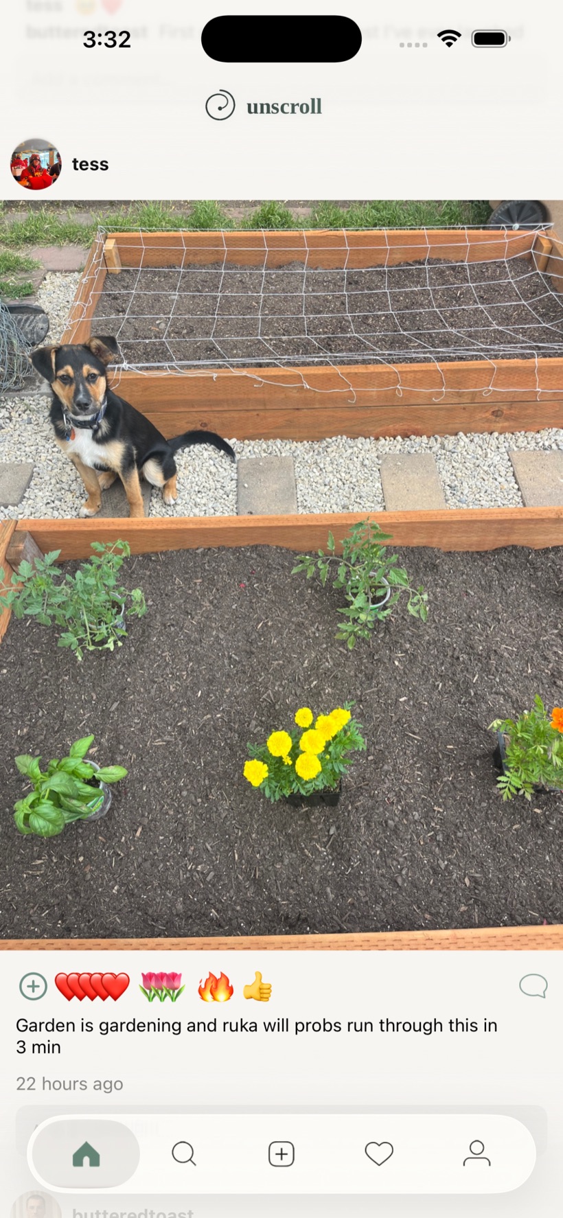 Unscroll chronological feed showing a friend's garden post